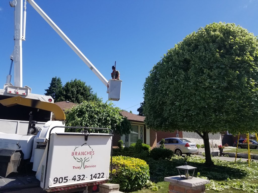 Branches Tree Service | 3165 Lambs Rd, Bowmanville, ON L1C 6J7, Canada | Phone: (905) 432-1422