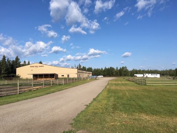 Moose Hill Ranch Equestrian Centre | 42186, Township Rd 240, Calgary, AB T3Z 2X8, Canada | Phone: (403) 818-2236