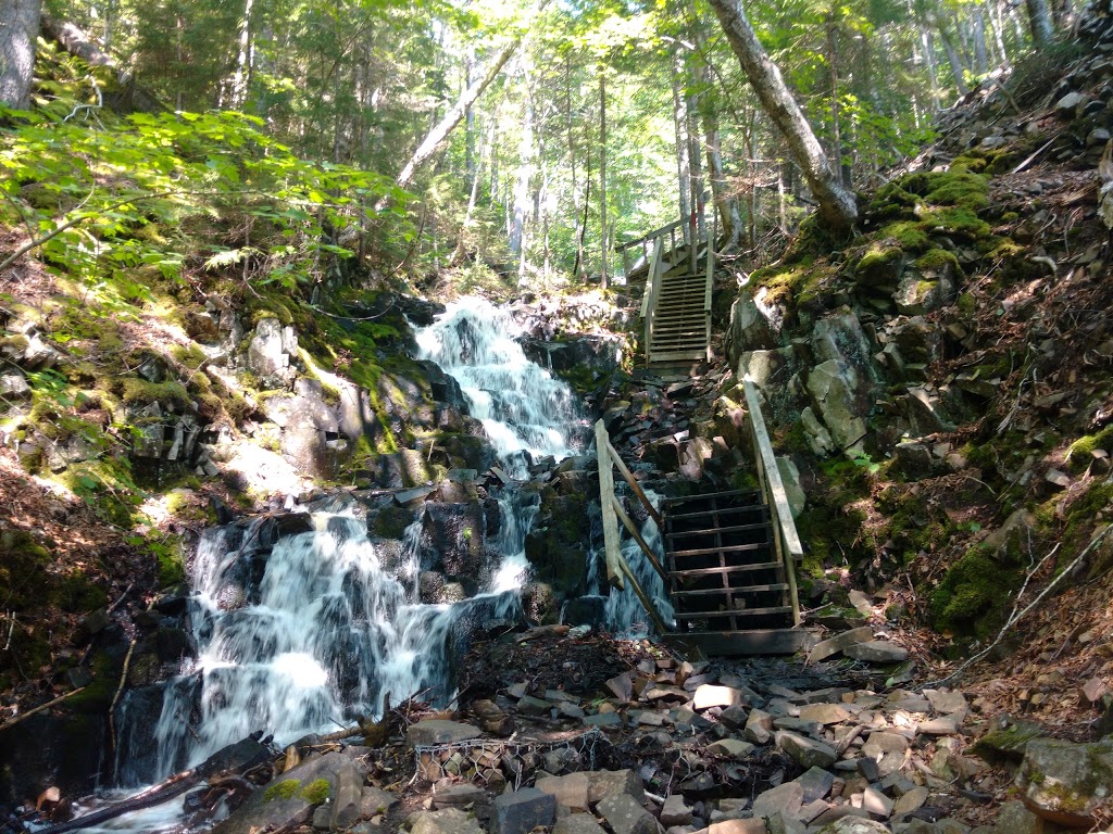 Borden Brook Falls | 3138 Pereau Rd, Canning, NS B0P 1H0, Canada | Phone: (866) 230-1586