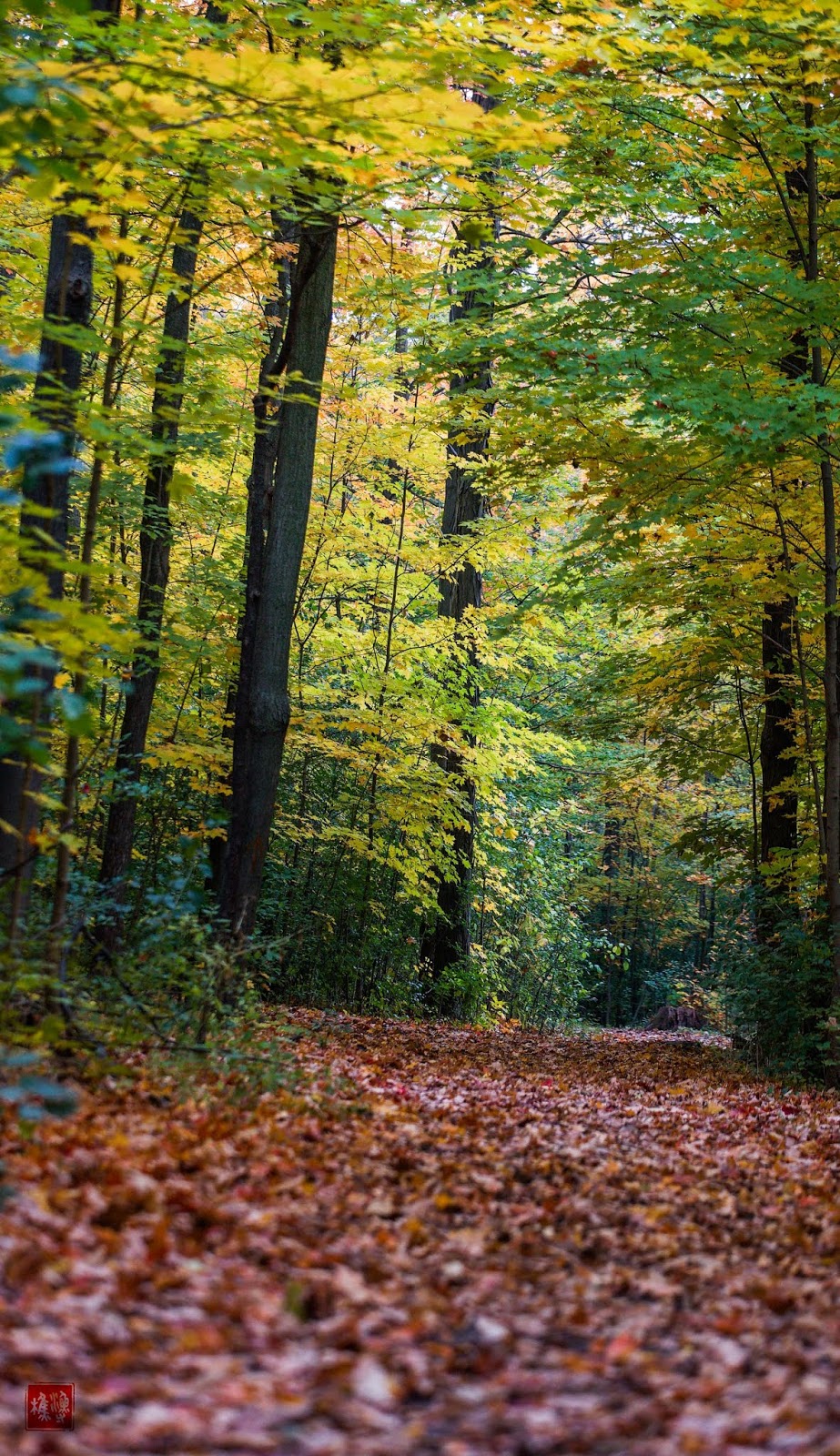 Iroquois Shoreline Woods Park parking lot | 1390 Joshuas Creek Dr, Oakville, ON L6H 7G4, Canada