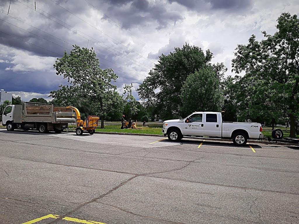 Samuel Girouard Arboriculteur-élagueur | 16325 Av. Roy, Saint-Hyacinthe, QC J2T 4G6, Canada | Phone: (450) 501-8205