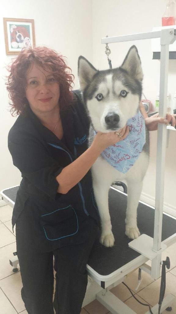 Rexdale Animal Hospital | 843 Albion Rd, Etobicoke, ON M9V 1A3, Canada | Phone: (647) 495-7097