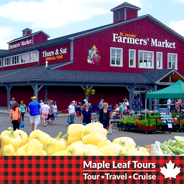 Maple Leaf Tours | 2937 Princess St, Kingston, ON K7P 0K3, Canada | Phone: (613) 384-0012