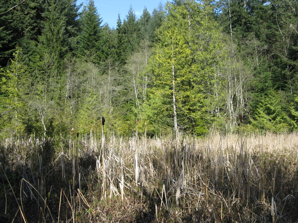 Fairy Fen Nature Reserve | Bowen Island, BC V0N 1G2, Canada