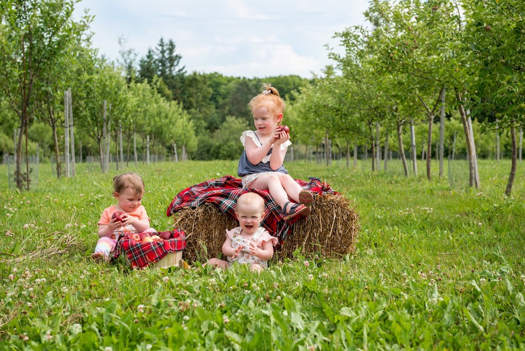 Riverdale Orchard and Cidery | 582 Riverdale Rd, Bonshaw, PE C0A 1C0, Canada | Phone: (902) 218-0580