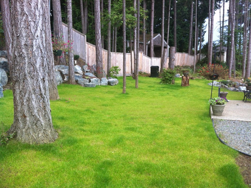 Watts Mowing Ltd. | 3124 Mexicana Rd, Nanaimo, BC V9T 2W7, Canada | Phone: (250) 816-1973