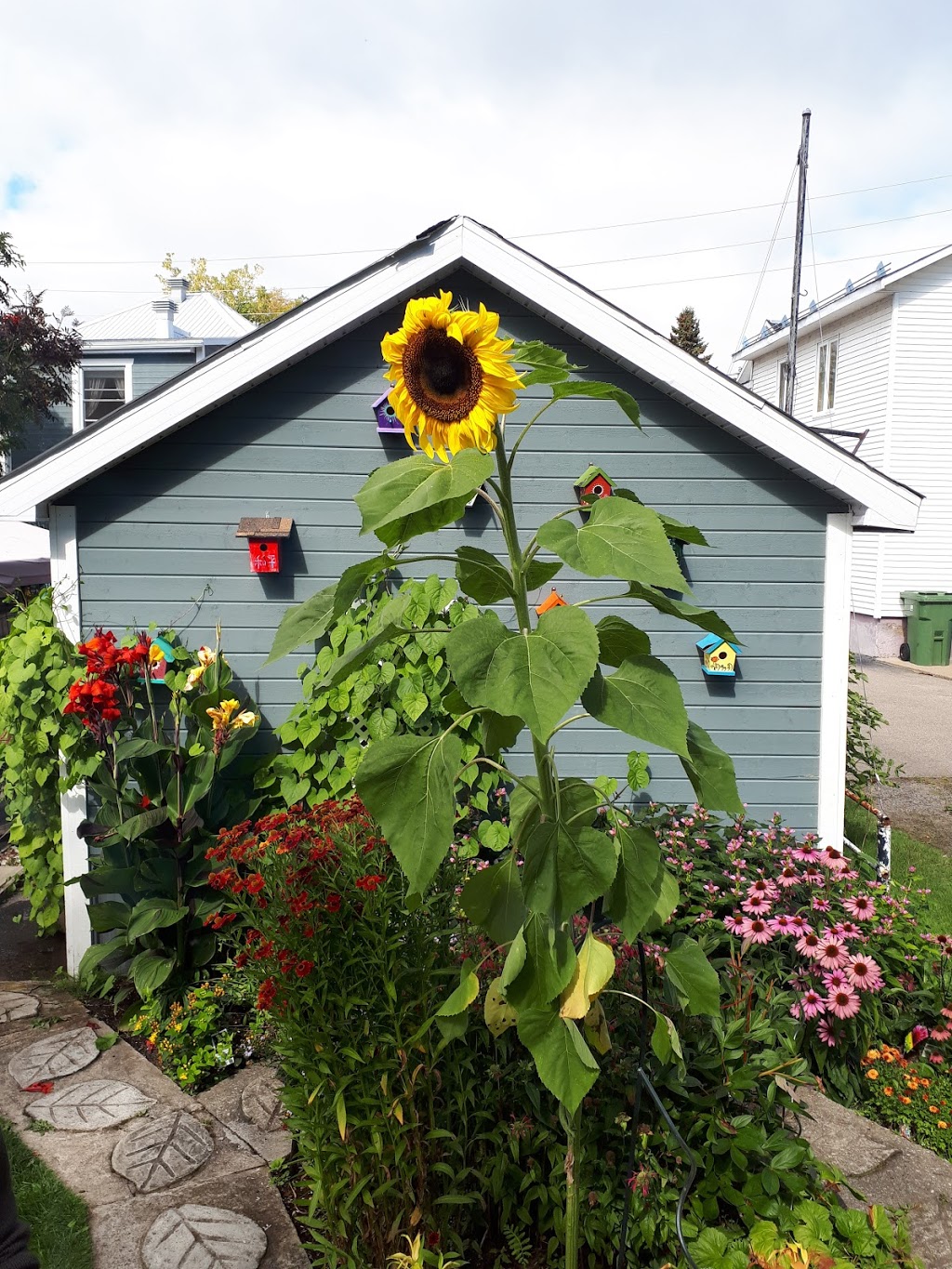 Gîte Fleury | 102 Rue Saint Joseph, Baie-Saint-Paul, QC G3Z 1J1, Canada | Phone: (418) 435-3668