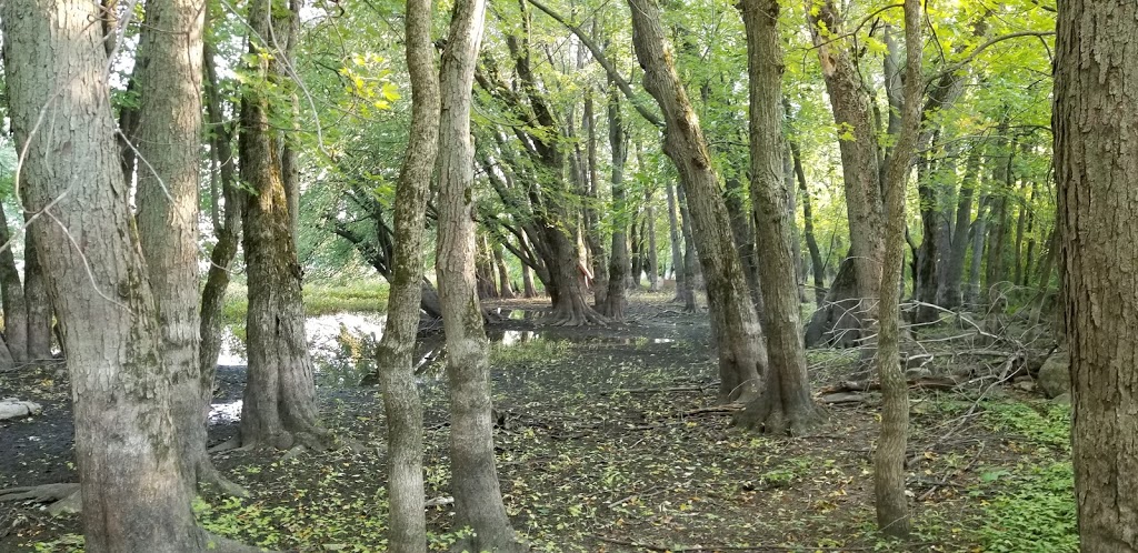 Marais Miller Rosemère | Rosemère, QC J7A 3W1, Canada