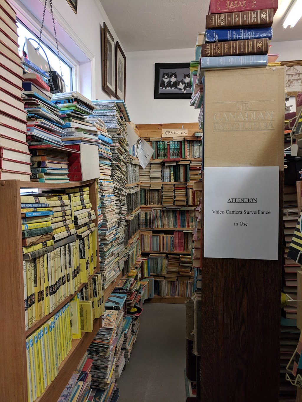 Amys Used Books | 51 S Albion St, Amherst, NS B4H 2W4, Canada | Phone: (902) 667-7927