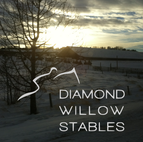 Diamond Willow Stables | 42133 Township Road 252, Calgary, AB T3Z 2S1, Canada | Phone: (403) 992-7433