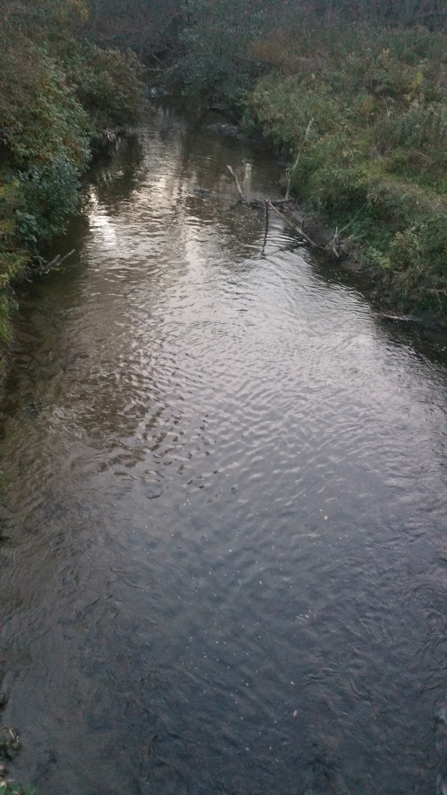 Lynde Creek | Whitby, ON L1P 1P2, Canada