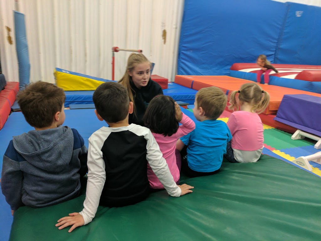 Aspire Gymnastics | 183 S Service Rd Unit 3, Grimsby, ON L3M 4H6, Canada | Phone: (289) 442-8286