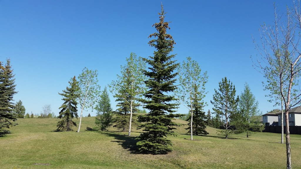 Park com campo | 18053 98 Ave NW, Edmonton, AB T5T 3V2, Canada