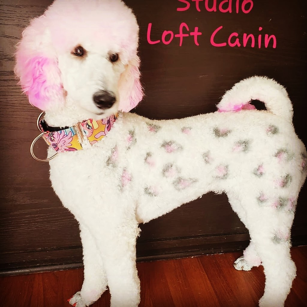 Toilettage Studio Loft canin | 199 Chemin du Petit-Bois Local 105, Varennes, QC J3X 1P7, Canada | Phone: (450) 809-0370