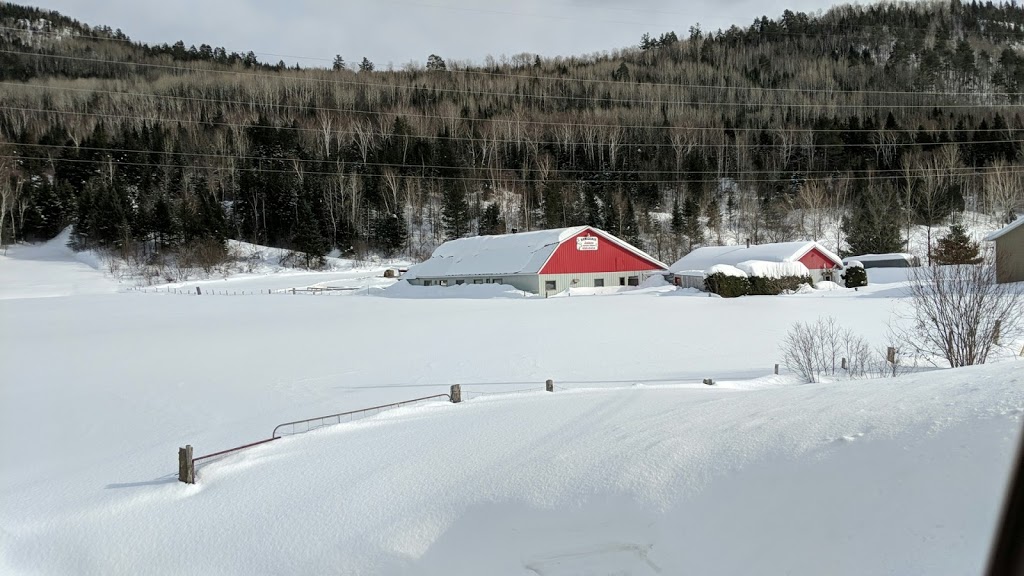 Bergerie Josiane | 594 Chemin St Laurent, Baie-Saint-Paul, QC G3Z 2L7, Canada | Phone: (418) 435-6404