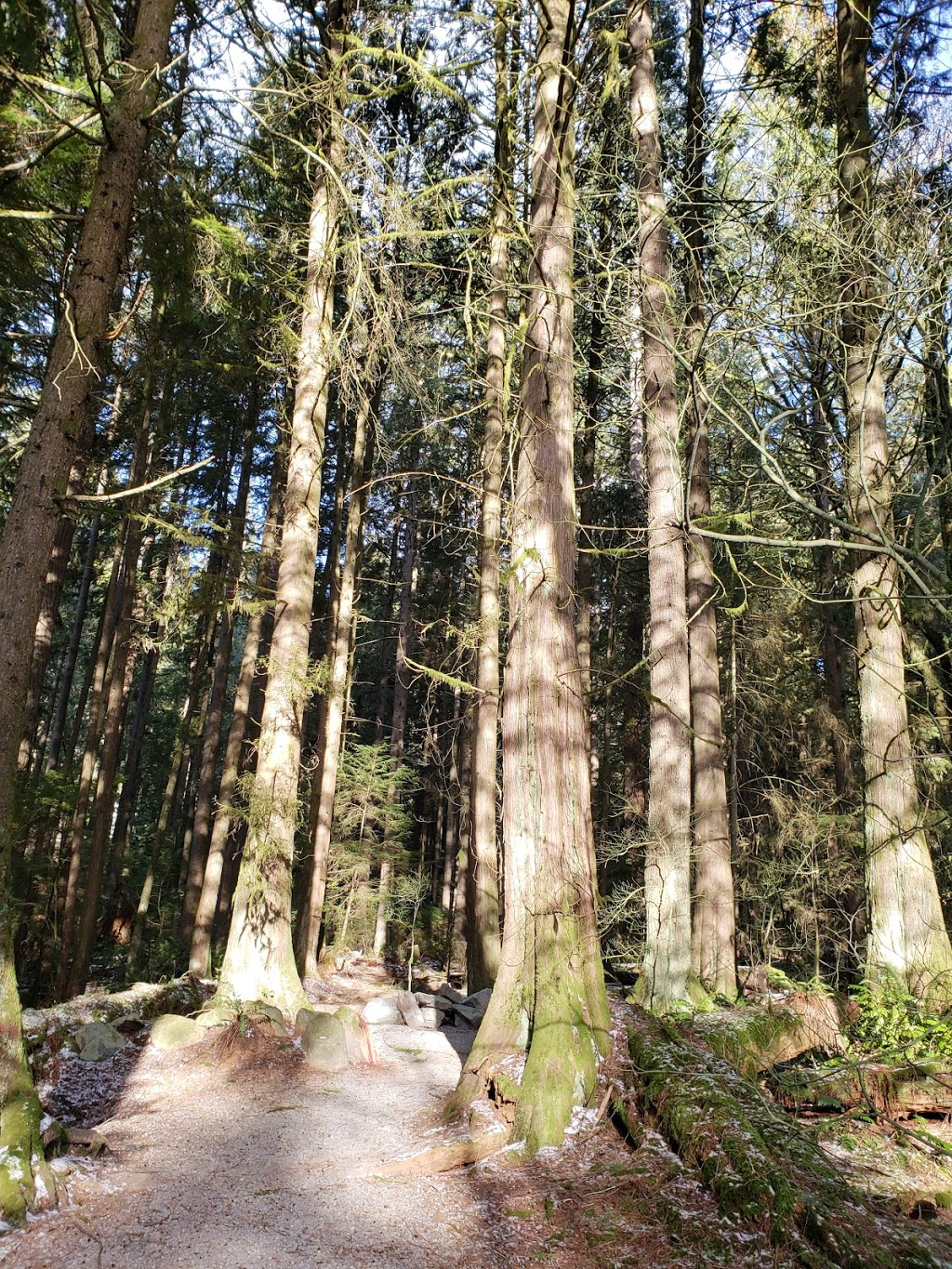 Old Buck Trailhead | North Vancouver, BC V7G, Canada