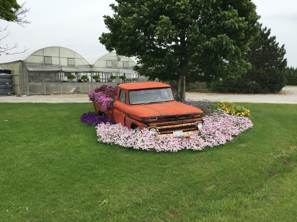 Country Lane Greenhouses | 5458 London Line, Wyoming, ON N0N 1T0, Canada | Phone: (519) 845-3680