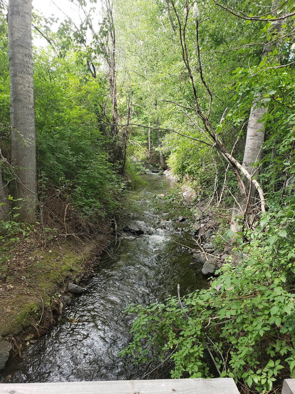 Grist Mill & Gardens at Keremeos | 2691 Upper Bench Rd, Keremeos, BC V0X 1N4, Canada | Phone: (250) 499-2888