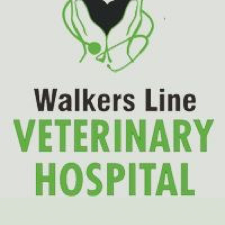 Walkers Line Veterinary Hospital | 4040 Palladium Way # 7, Burlington, ON L7M 0V6, Canada | Phone: (905) 336-6222