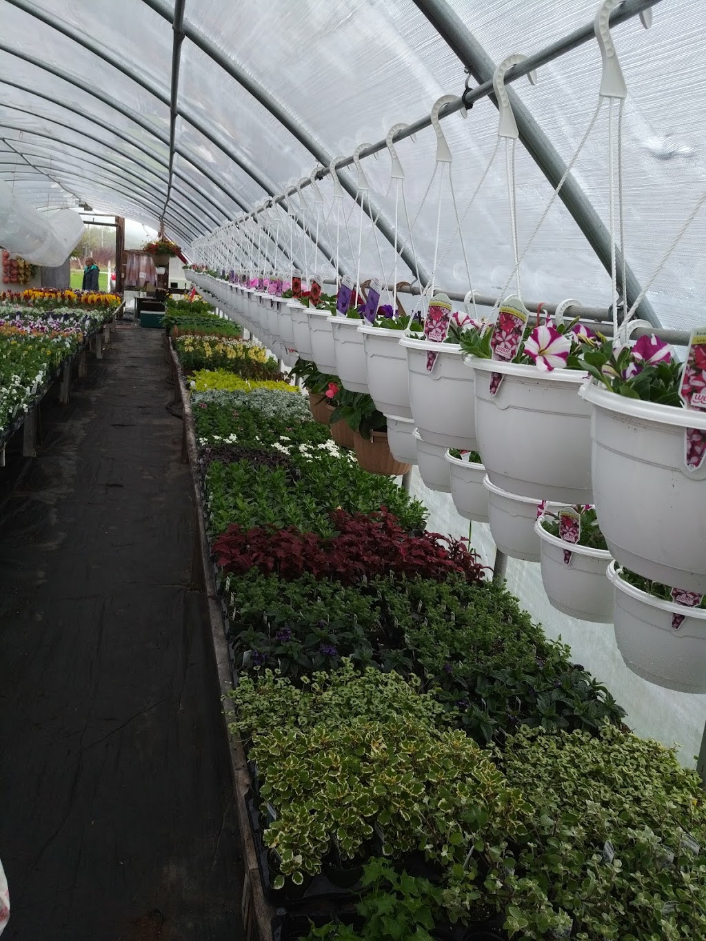 Har-Cor Greenhouse | 4417 Bidwell Rd, Sheguiandah, ON P0P 1W0, Canada | Phone: (705) 368-1168