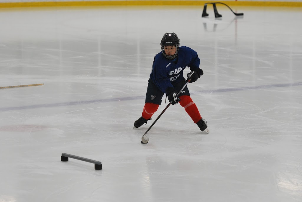 RHA Hockey Academy | 989 Murray Ross Pkwy, North York, ON M3J 3M4, Canada | Phone: (647) 985-2865