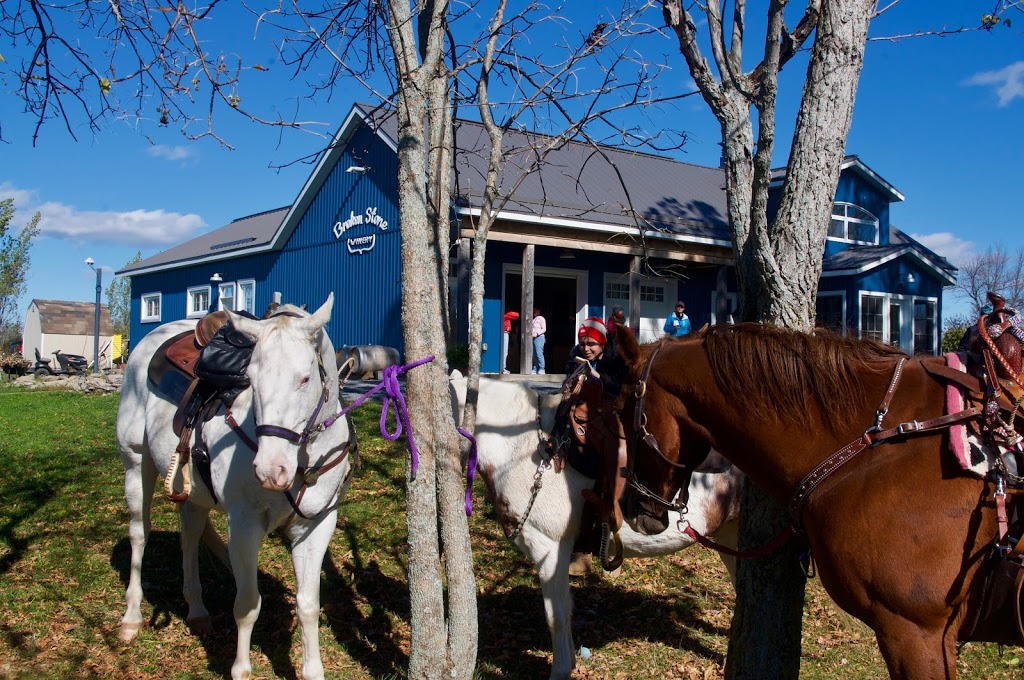 Broken Stone Winery | 524 Closson Rd, Hillier, ON K0K 2J0, Canada | Phone: (343) 600-3993