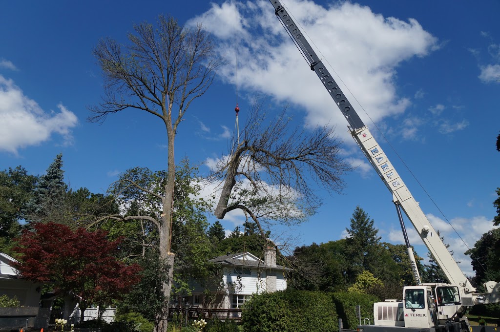 Maple Hill Tree Services | 1220 Heritage Rd, Burlington, ON L7L 4X9, Canada | Phone: (905) 824-2100