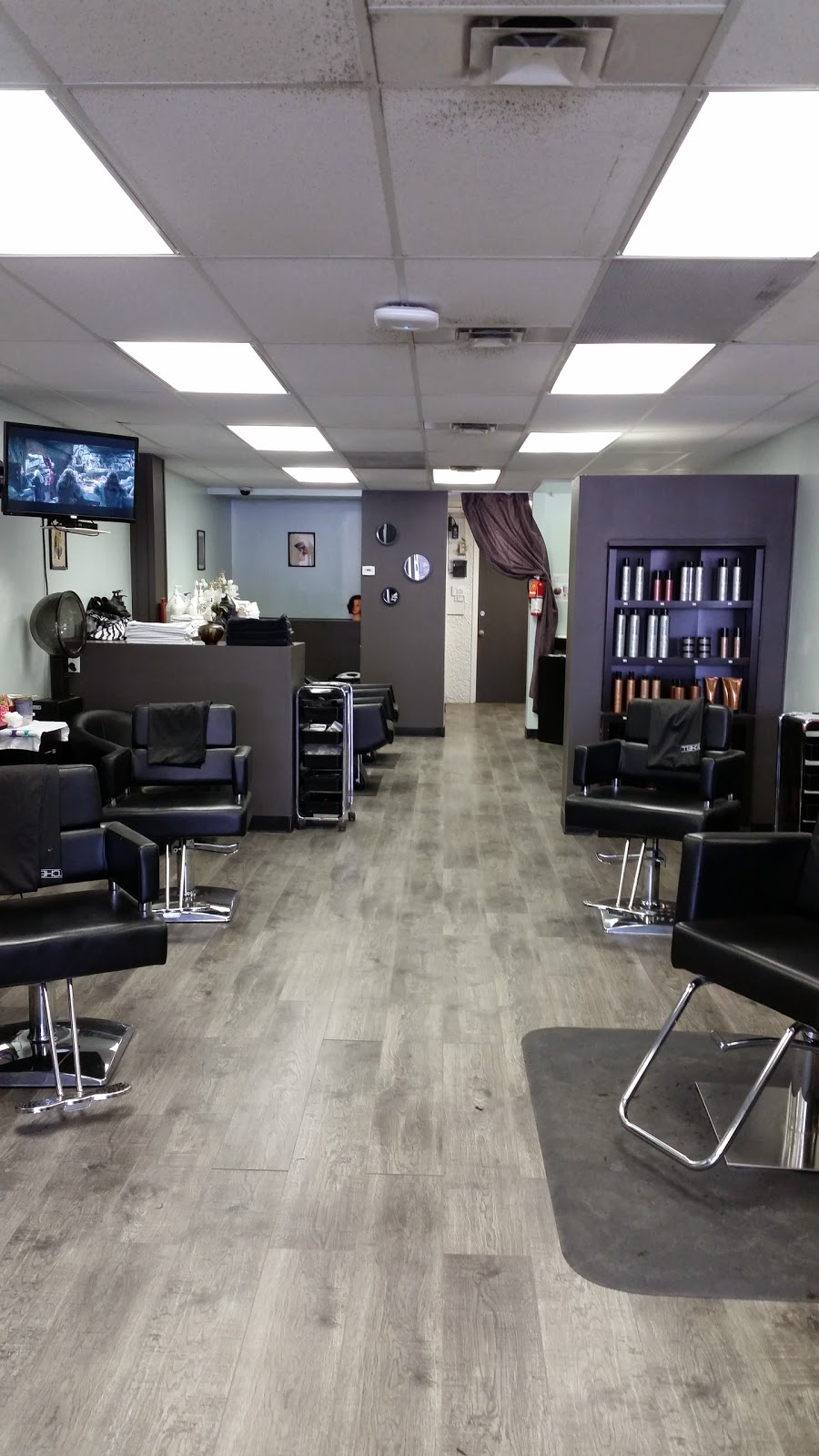 Rising Phoenix Hair Salon | 701 Regent Ave W #120, Winnipeg, MB R2C 1S3, Canada | Phone: (204) 777-0647