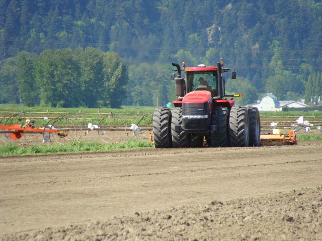 Western Turf Farms Ltd | 7897 240 St, Langley City, BC V1M 3P9, Canada | Phone: (604) 888-7072