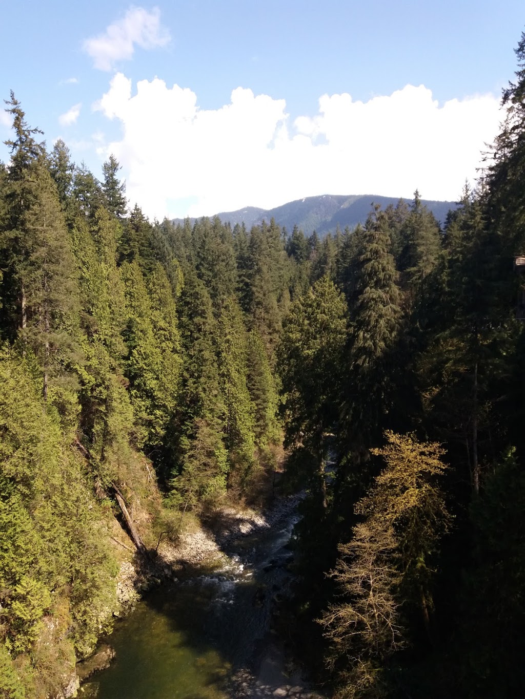 Capilano Suspension Bridge Park | Unnamed Road, North Vancouver, BC V7R 4H9, Canada