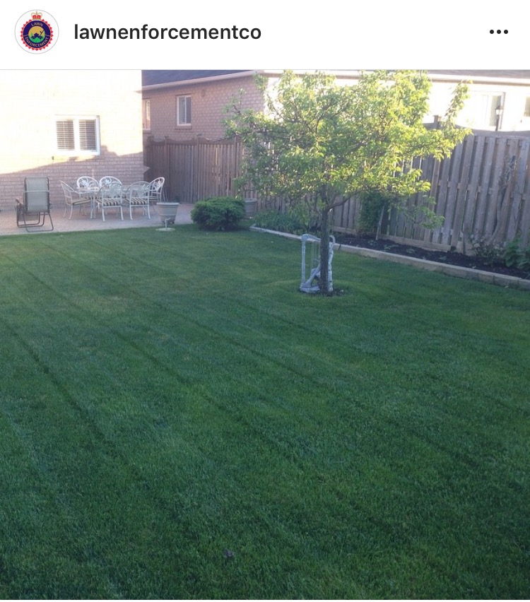 Lawn Enforcement Landscaping & Construction | 124 Pine Hollow Crescent, Maple, ON L6A 2L6, Canada | Phone: (416) 995-1411