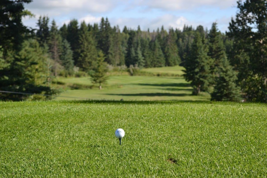 Pipestone Links Golf Course and RV Park near Millet, AB | 472051B, Range Rd 242A, Millet, AB T0C 1Z0, Canada | Phone: (780) 352-8788