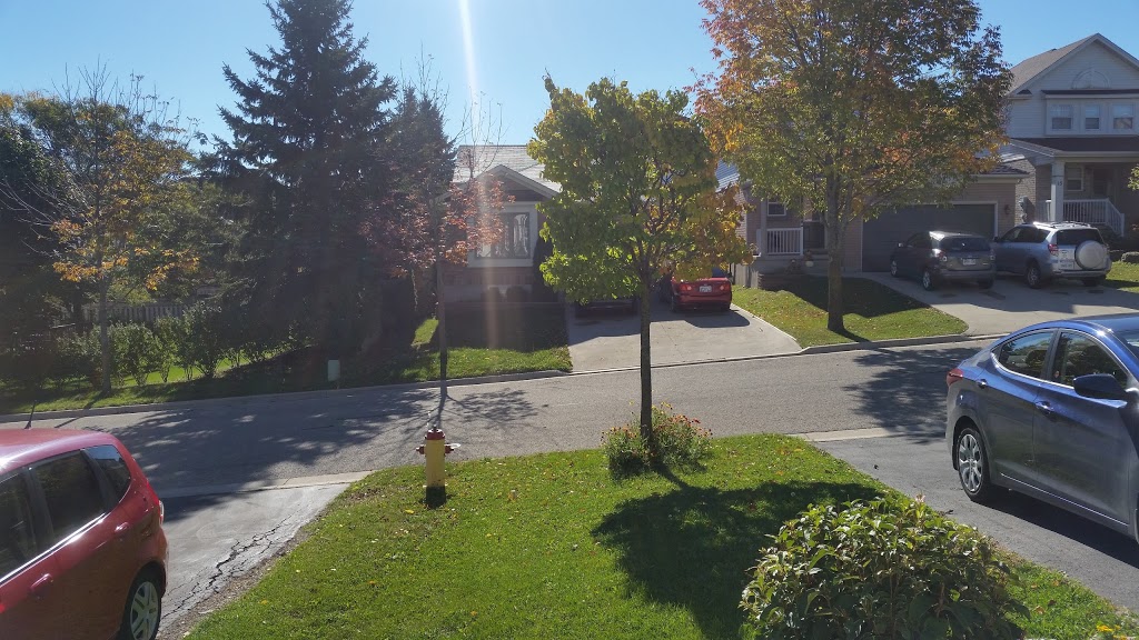 Springmount Park | 106 Roehampton Ct, Kitchener, ON N2A 3K8, Canada