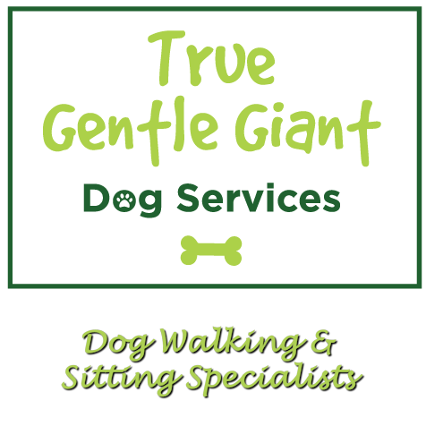 True Gentle Giant Dog Services | 78 Beck Dr, Markham, ON L3P 5J9, Canada | Phone: (416) 817-4033