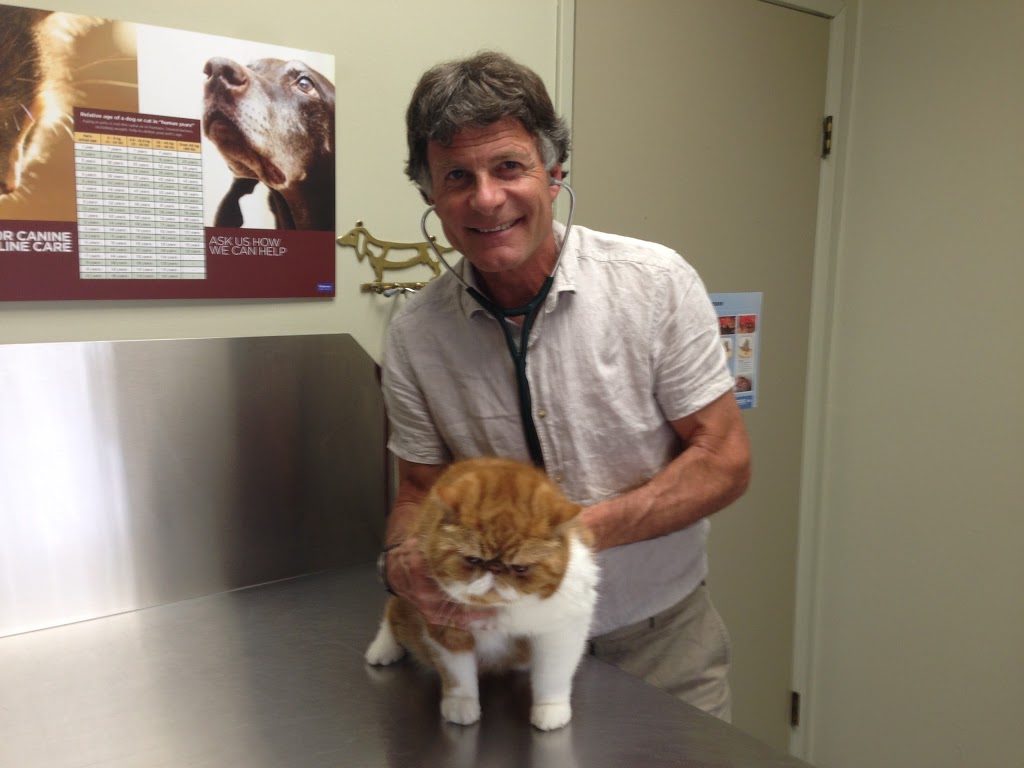 West King Edward Animal Clinic | 510 W 24th Ave, Vancouver, BC V5Z 2B4, Canada | Phone: (604) 873-4433