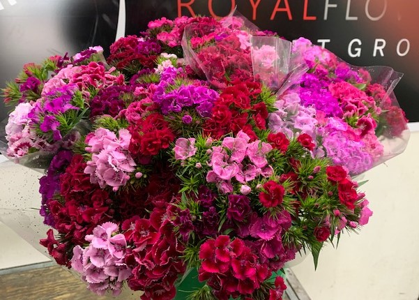 Royal Flower Import Group | 6870 Pacific Cir, Mississauga, ON L5T 1N8, Canada | Phone: (905) 670-5022