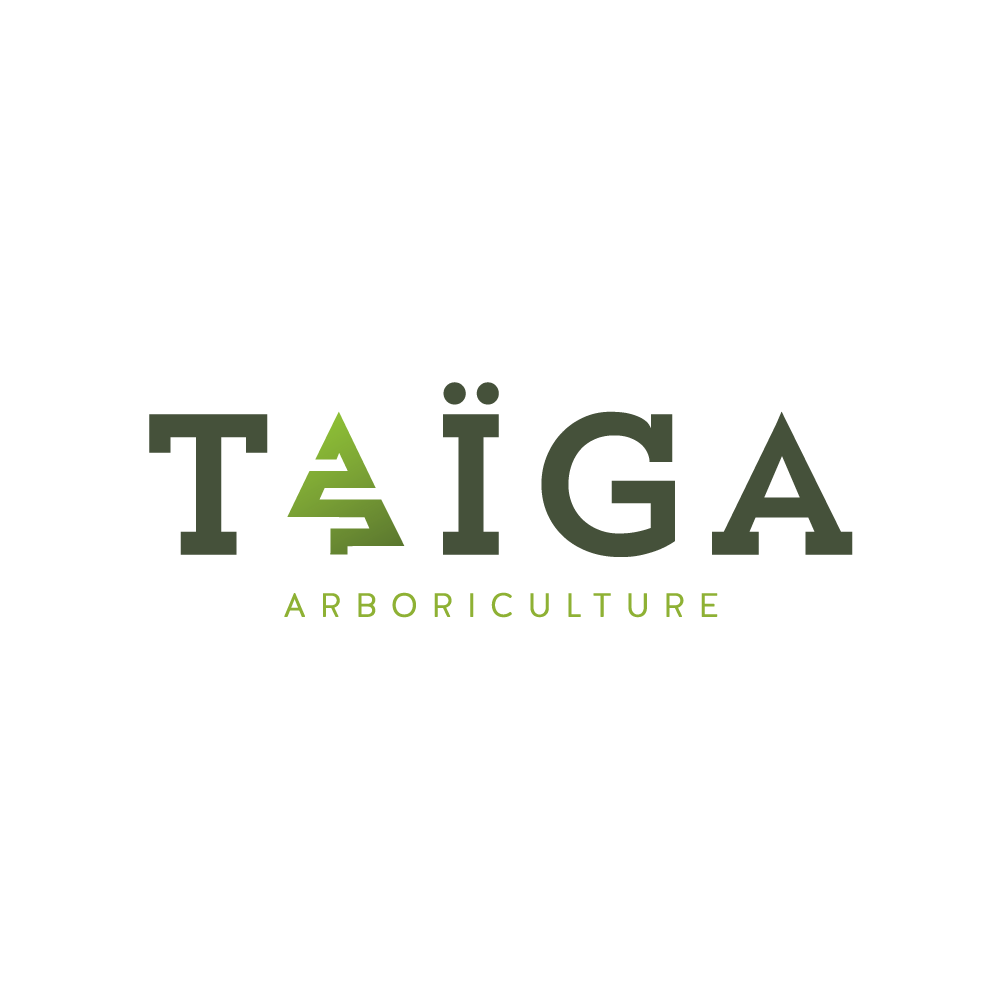 Taïga Arboriculture | 353 Rang Armagh, Sainte-Agathe-de-Lotbinière, QC G0S 2A0, Canada | Phone: (418) 929-9880