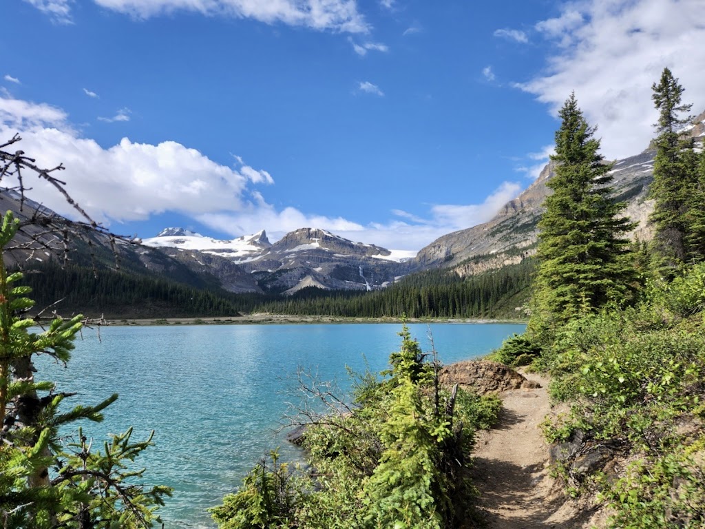 The Lodge at Bow Lake | Icefields Pkwy, Lake Louise, AB T0L 1E0, Canada | Phone: (403) 522-0148