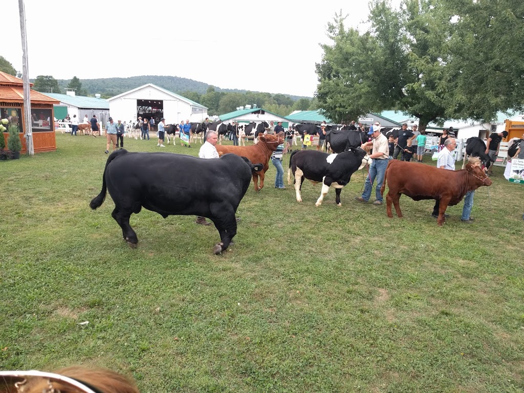 Brome County Agricultural Society | 345 Chemin Stagecoach, Brome, QC J0E 1K0, Canada | Phone: (450) 242-3976