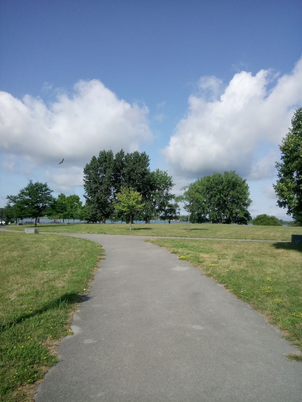 Tow Path Park | Hertel Ave, Buffalo, NY 14207, USA | Phone: (716) 858-8355