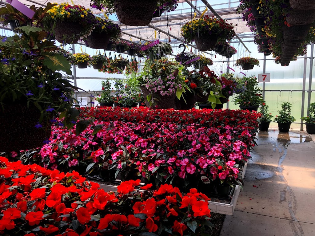 Arnold’s Greenhouse | Halton Hills, ON, Canada