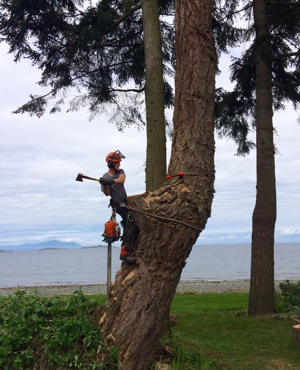 Summit Tree Care | 3646 Reynolds Rd, Nanaimo, BC V9T 2P4, Canada | Phone: (250) 268-8883