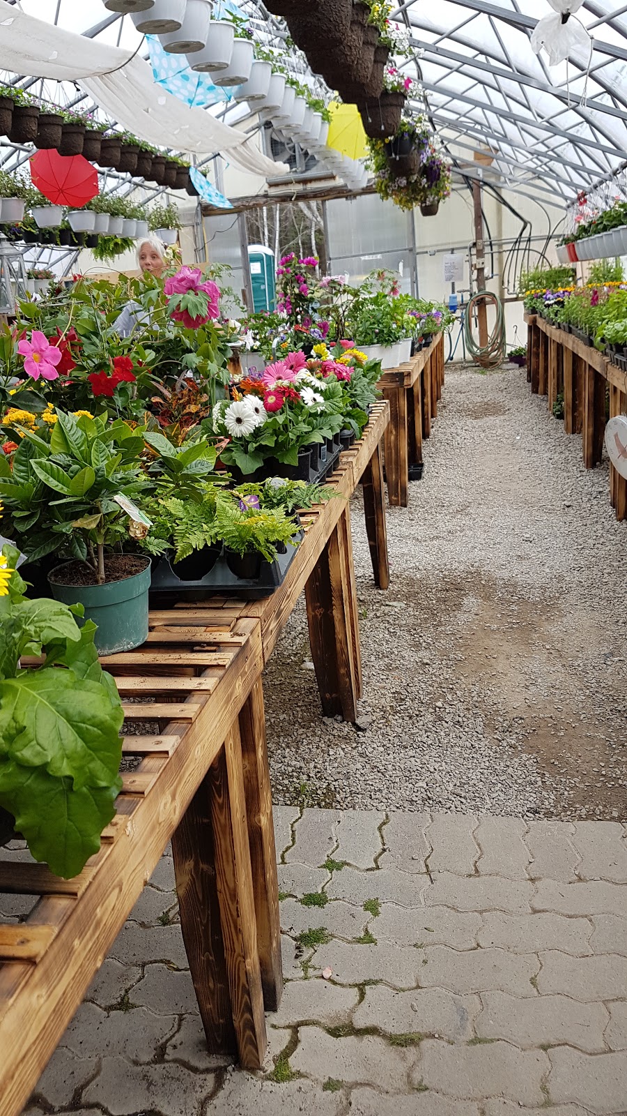 J Ds Manitoulin Garden Centre | 231 Side Rd 10, Tehkummah, ON P0P 2C0, Canada | Phone: (705) 859-2393