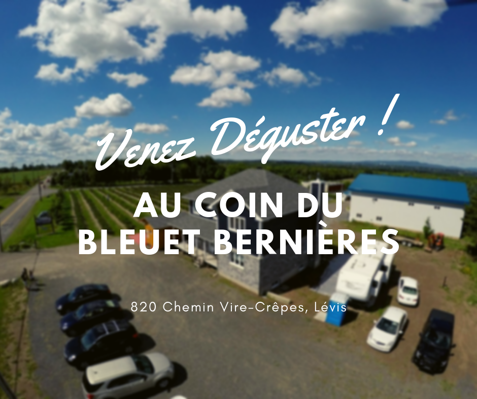 Au coin du Bleuet - Bernières | 820 Chemin Vire-Crêpes, Saint-Nicolas, QC G7A 1Z8, Canada | Phone: (418) 831-7129