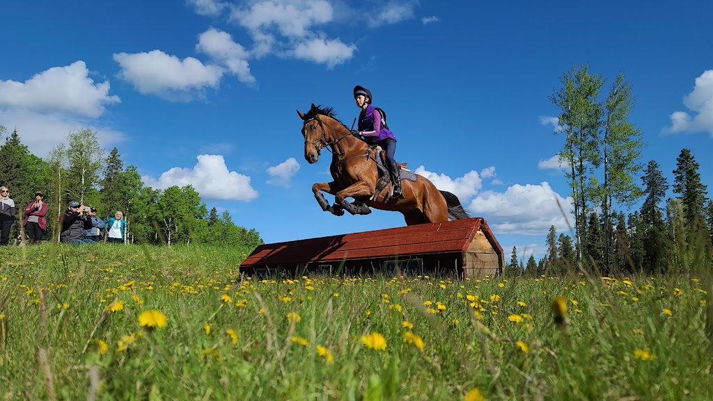 Prentice Creek Equestrian Centre | Clearwater County, AB T0M 0C0, Canada | Phone: (403) 846-8756