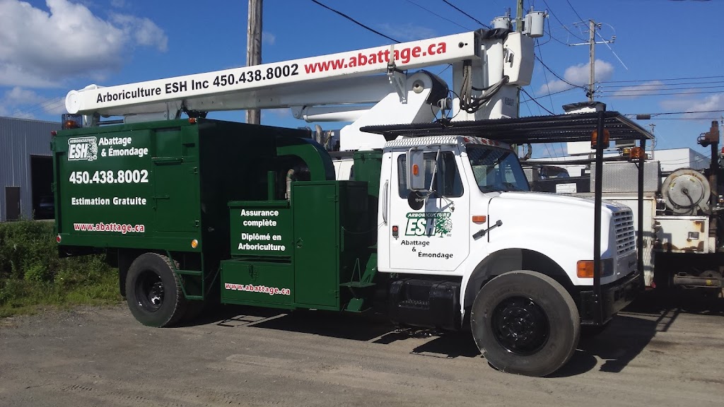 Arboriculture Esh Inc | 896 Rue Lamontagne, Saint-Jérôme, QC J5L 1V2, Canada | Phone: (450) 438-8002