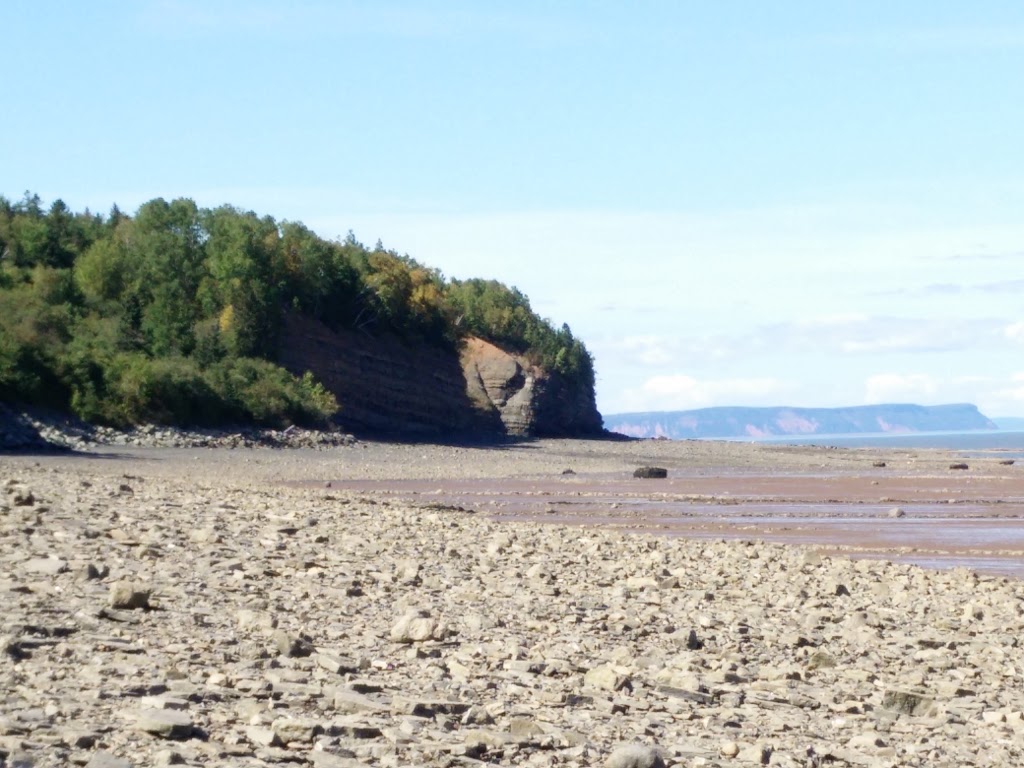 Blue Beach Fossil Museum | 127 Blue Beach Rd, Hantsport, NS B0P 1P0, Canada | Phone: (902) 790-9541