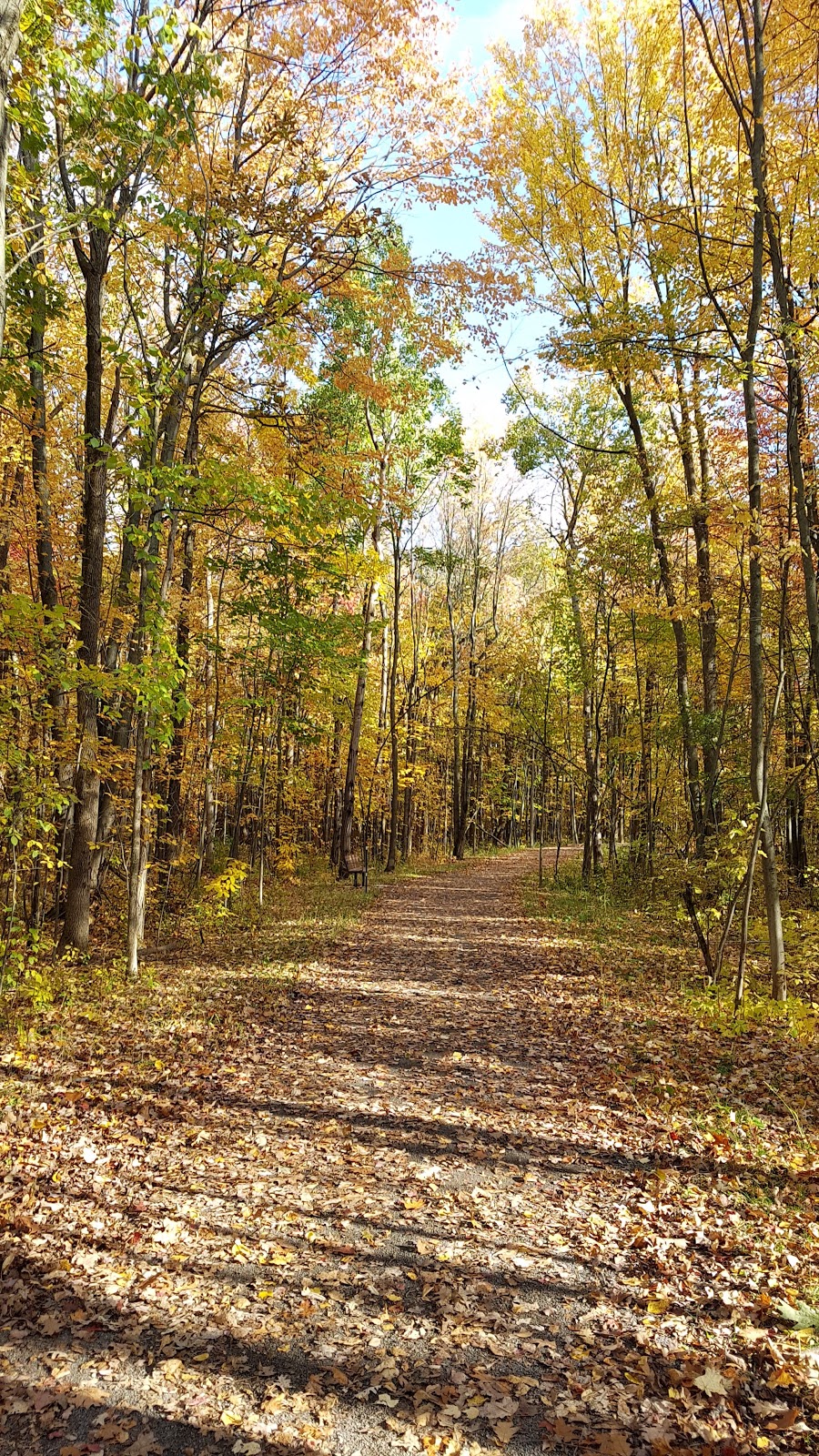 Sentier au Boisé Du Tremblay | 150 Chemin dAlençon, Boucherville, QC J4B 0G9, Canada