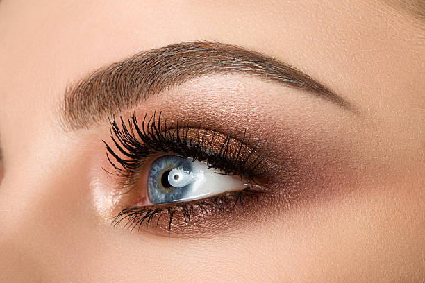 Nowbrows | 1455 Greenbriar Dr, Oakville, ON L6M 1Z4, Canada | Phone: (647) 331-0739