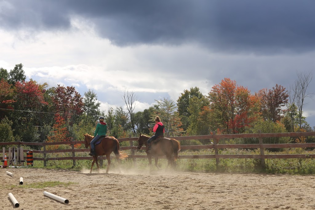 Painted Hilltop Farm | 130 Chemin du Rang A, Otter Lake, QC J0X 2P0, Canada | Phone: (819) 647-8945